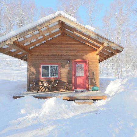 Spruce Cabin タルキートナ エクステリア 写真