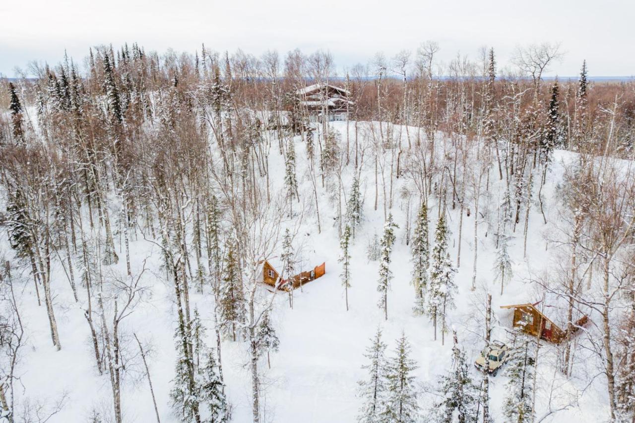 Spruce Cabin タルキートナ エクステリア 写真
